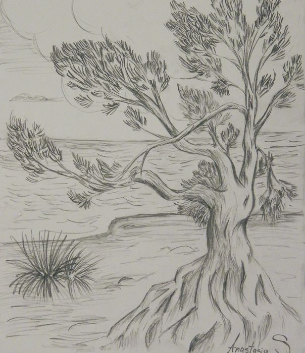 Art Studio PALETTE. Anastasiia Sergeyenko Picture.  Pencil Landscape Trees 