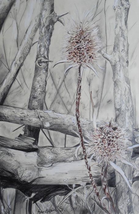 Art Studio PALETTE. Anastasiia Sergeyenko Picture.  Pencil Landscape Nature 