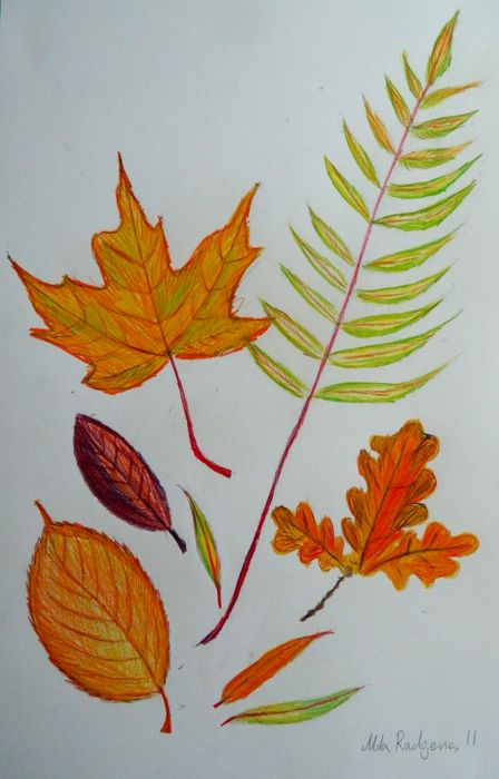 Art Studio PALETTE. Mila Radojevic Picture.  Coloured Pencil Plants Leaves 