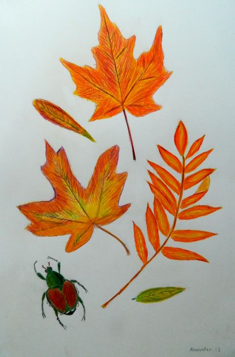 Art Studio PALETTE. Alexander Zajaczkowski Picture.  Coloured Pencil Plants Leaves 