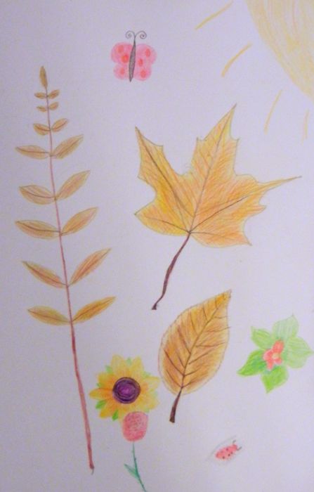 Art Studio PALETTE. Eugenia Lupu Picture.  Coloured Pencil Plants Leaves 