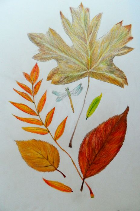 Art Studio PALETTE. Khrystina Samsonova Picture.  Coloured Pencil Plants Leaves 