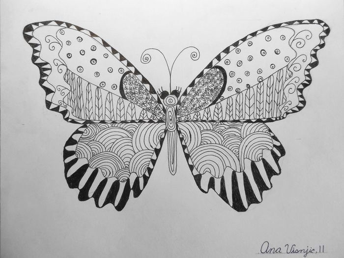 Art Studio PALETTE. Ana Visnjic Picture.  Ink Animals Butterfly 