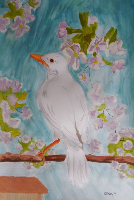 Art Studio PALETTE. Olivia Davidson Picture.  Watercolour Animals Birds 