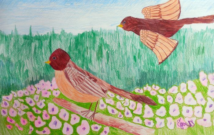 Art Studio PALETTE. Egor Kit Picture.  Coloured Pencil Animals Birds 