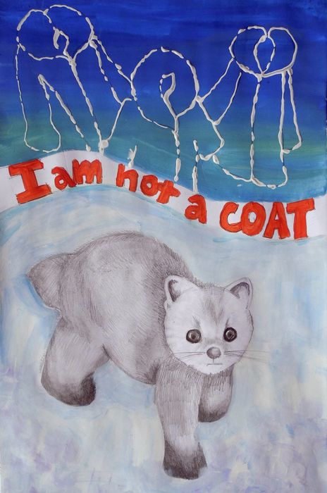 Art Studio PALETTE. Lisa Lei Picture.   Animals Mix I am Not a Coat