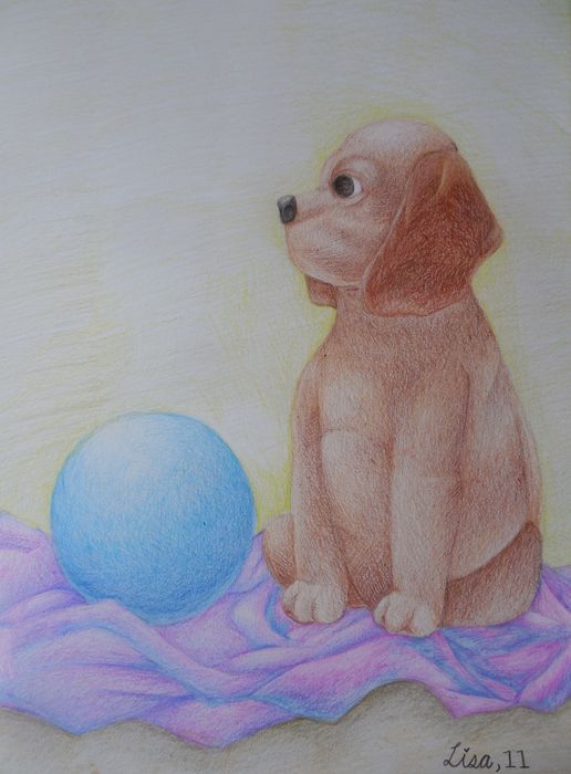 Art Studio PALETTE. Lisa Lei Picture.  Coloured Pencil Animals Dogs 