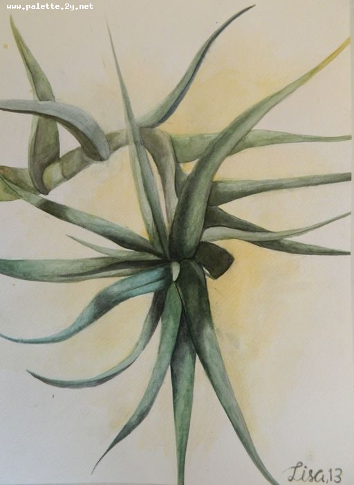 Art Studio PALETTE. Lisa Lei Picture.  Watercolour Plants Leaves 