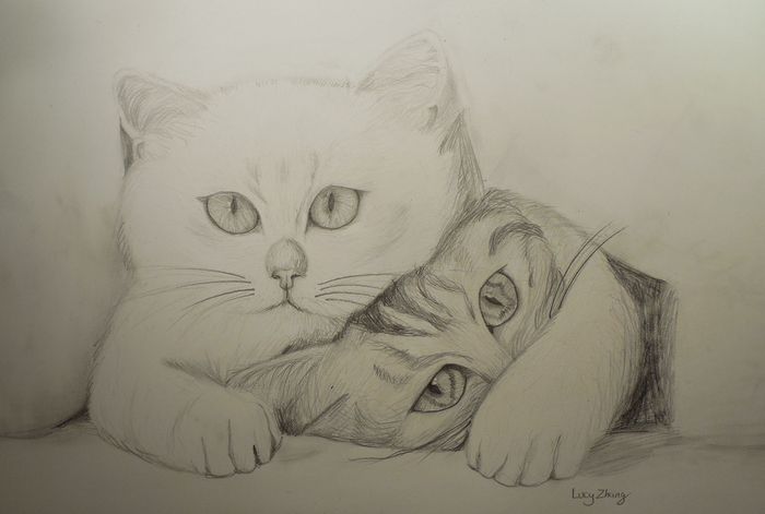 Art Studio PALETTE. Lucy Zhang Picture.  Pencil Animals Cats 