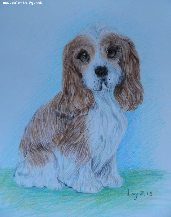 Art Studio PALETTE. Lucy Zhang Picture.  Coloured Pencil Animals Dogs My Friend