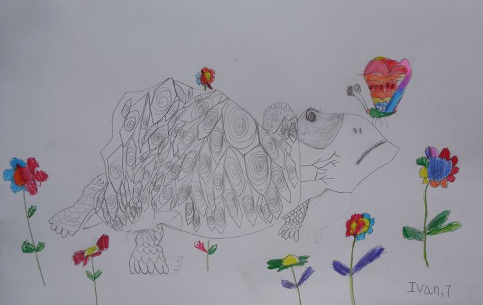 Art Studio PALETTE. Ivan Wu Picture.  Coloured Pencil Animals Mix 