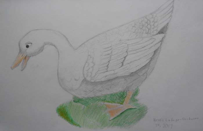 Art Studio PALETTE. Kevin La Forge Picture.  Pencil Animals Birds 