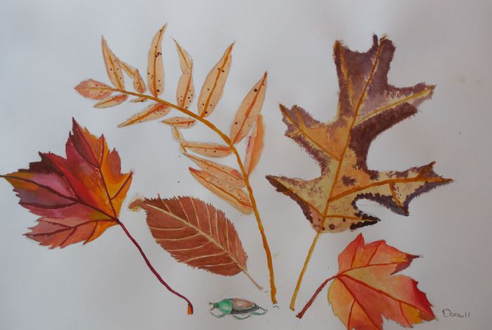 Art Studio PALETTE. Dora Wang Picture.  Watercolour Plants Leaves 