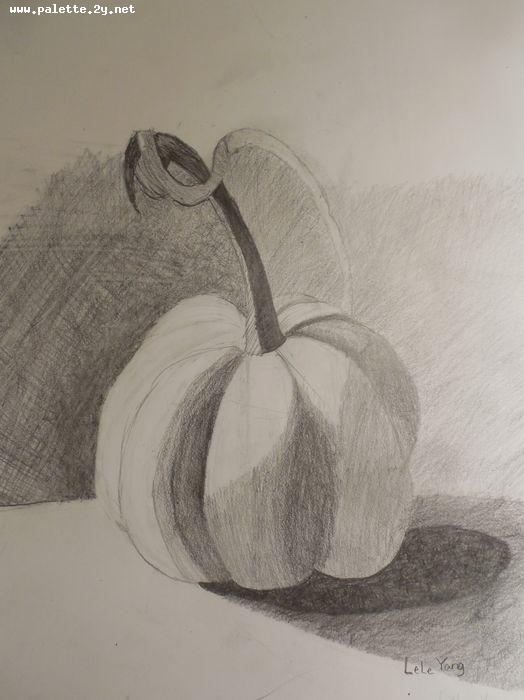 Art Studio PALETTE. Lele Yang Picture.  Pencil Still Life Fruits & Vegi 