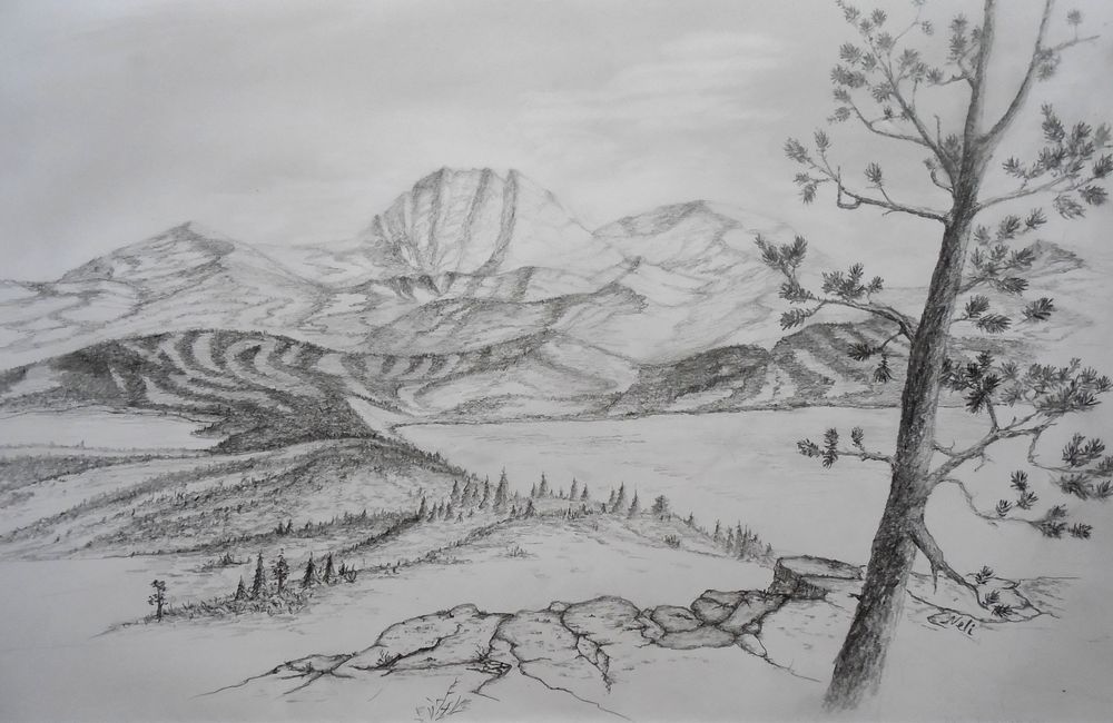 Art Studio PALETTE. Neli Kapytskaya Picture.  Pencil Landscape Nature 
