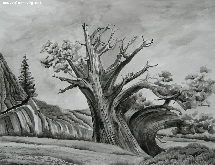 Art Studio PALETTE. Neli Kapytskaya Picture.  Watercolour Landscape Trees 