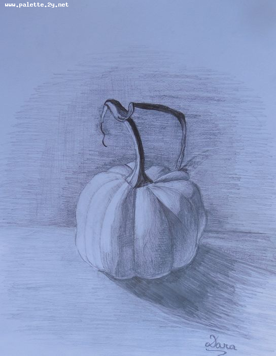 Art Studio PALETTE. Dara Ardjieva Picture.  Pencil Still Life Fruits & Vegi 