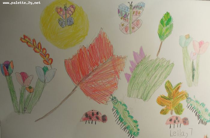 Art Studio PALETTE. Leila Cox Picture.  Coloured Pencil Plants Leaves 