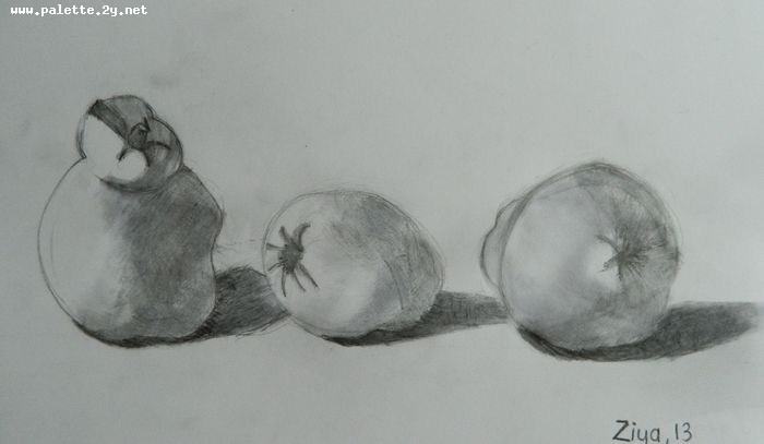 Art Studio PALETTE. Ziya Merchant Picture.  Pencil Still Life Fruits & Vegi 