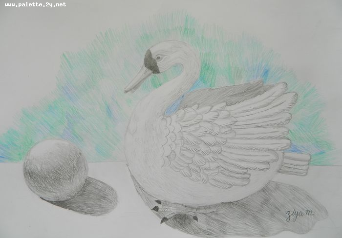 Art Studio PALETTE. Ziya Merchant Picture.  Pencil Animals Birds 