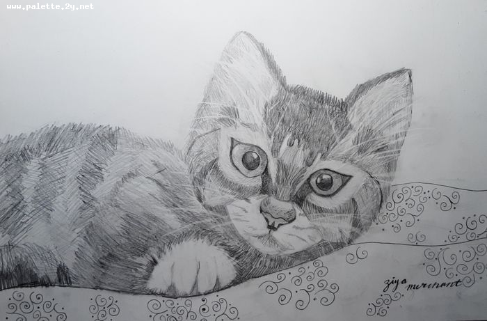 Art Studio PALETTE. Ziya Merchant Picture.  Pencil Animals Cats 