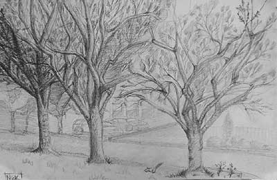 Art Studio PALETTE. Nick Antipenkov Picture.  Pencil Landscape Trees 