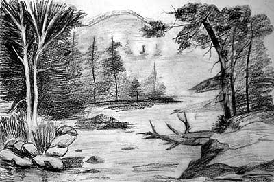 Art Studio PALETTE. Brankica Celic Picture.  Pencil Landscape Nature 
