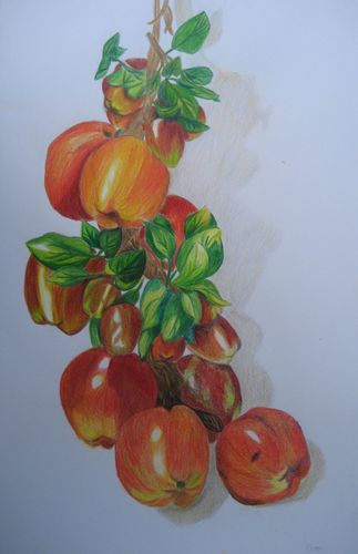 Art Studio PALETTE. Chiew Tan Picture.  Coloured Pencil Still Life Fruits & Vegi Яблочки