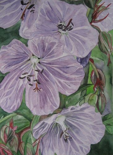 Art Studio PALETTE. Chiew Tan Picture.  Watercolour Plants Flowers 