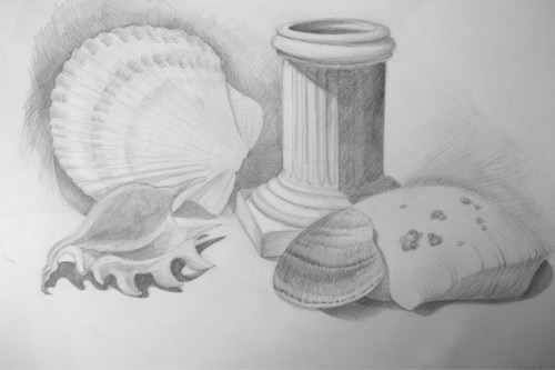 Art Studio PALETTE. Diana Hoang Picture. Fine Art Paper Pencil Still Life Shells 