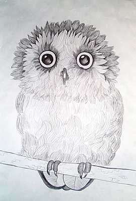 Art Studio PALETTE. Julia Faletski Picture.  Pencil   Owl