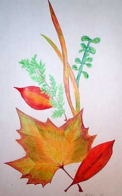 Art Studio PALETTE. Julia Faletski Picture.  Coloured Pencil   Composition from Fall Leaves