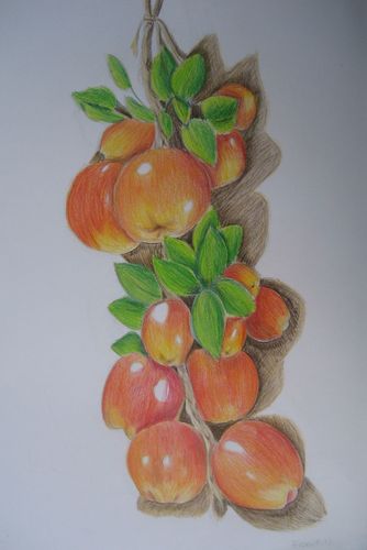 Art Studio PALETTE. Fiona Hoang Picture.  Coloured Pencil Still Life Fruits & Vegi 