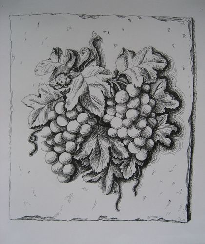 Art Studio PALETTE. Ksenia Fofanova Picture.  Ink Still Life Fruits & Vegi 