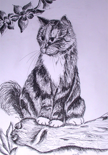 Art Studio PALETTE. Masha Gershkovic Picture.  Ink Animals Cats 
