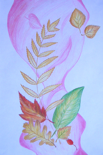 Art Studio PALETTE. Masha Gershkovic Picture.  Coloured Pencil Plants Leaves 
