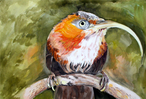 Art Studio PALETTE. Alexei Goidachev Picture.  Watercolour Animals Birds 