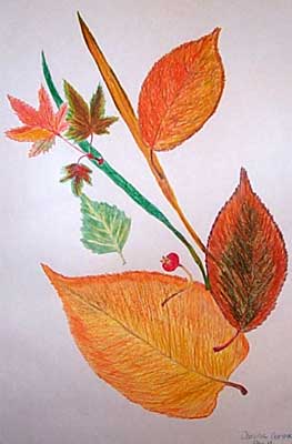 Art Studio PALETTE. Darina Gorshkov Picture.  Coloured Pencil Plants Leaves Composition from Fall Leaves