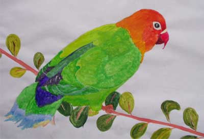 Art Studio PALETTE. Darina Gorshkov Picture.  Tempera Animals Birds Parrot