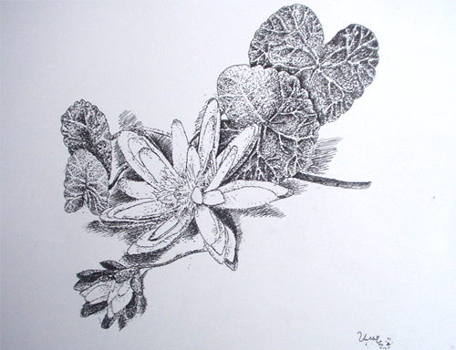 Art Studio PALETTE. Ilya Viruachev Picture.  Ink Plants Flowers 