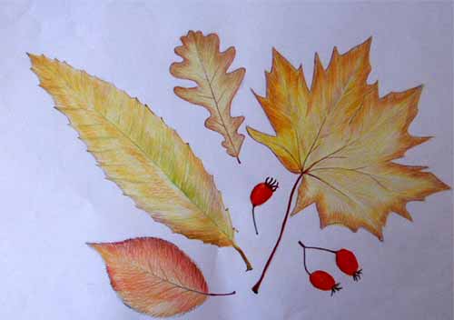 Art Studio PALETTE. Ann Karamisheva Picture.  Coloured Pencil Plants Leaves 