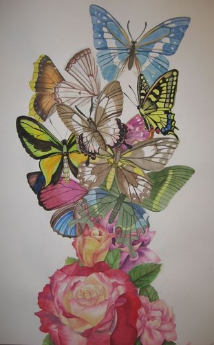 Art Studio PALETTE. Michelle Tseng Picture.  Watercolour Animals Butterfly 