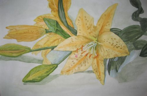 Art Studio PALETTE. Michelle Tseng Picture.  Watercolour Plants Flowers 