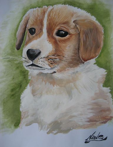 Art Studio PALETTE. Nicole Roumanis Picture.  Watercolour Animals Dogs 