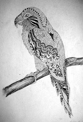 Art Studio PALETTE. Dona Rudari Picture.  Ink Animals Birds 