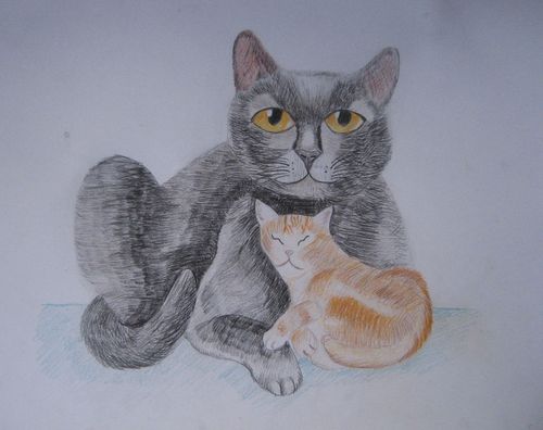 Art Studio PALETTE. Sarah Ziolkiewicz Picture.  Coloured Pencil Animals Cats 