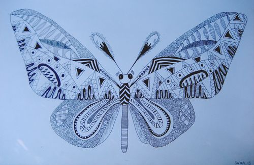 Art Studio PALETTE. Sarah Ziolkiewicz Picture.  Ink Animals Butterfly 