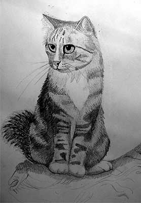 Art Studio PALETTE. Vladimir Smirnov Picture.  Pencil Animals Cats 