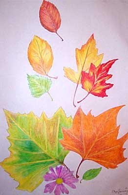 Art Studio PALETTE. Olga Tchoueva Picture.  Pencil Plants Leaves Composition from Fall Leaves