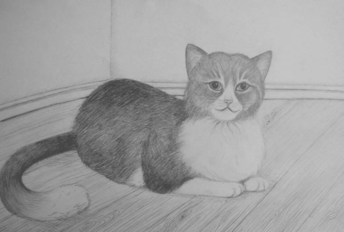 Art Studio PALETTE. Vlada Televko Picture.  Pencil Animals Cats 